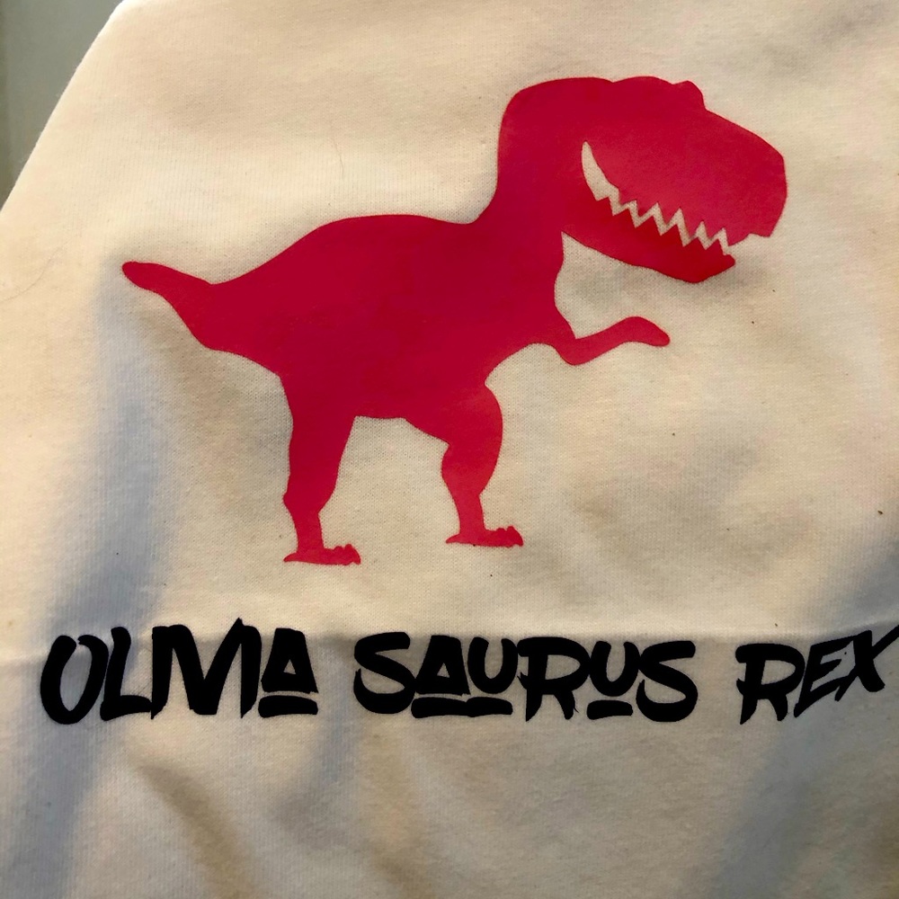 Toddler Tee shirt “Olivia Saurus Rex”